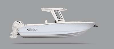 2027 Robalo R250